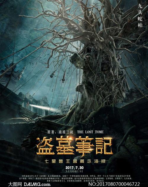 学历证书编号数字代表什么